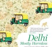 Delhi Mostly Harmless Elizabeth Chatterjee