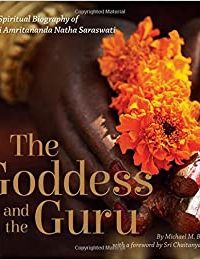 The Goddess and the Guru: A Spiritual Biography of Sri Amritananda Natha Saraswati by Michael M Bowdenof Devipuram