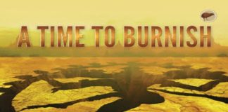 A Time to Burnish by Radhika Nathan