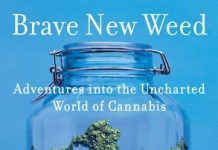 Brave New Weed by Joe Dolce