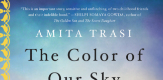 The color of our Sky by Amita Trasi